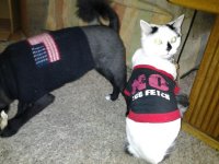 20111018_165802.jpg