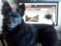 IMG_20111226_094025.jpg