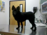IMG_20111228_122036.jpg