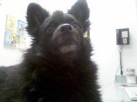 IMG_20111228_121821.jpg