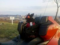 IMG_20120101_085008.jpg