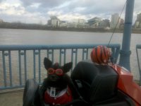 IMG_20120101_093216.jpg