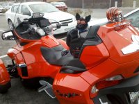 IMG_20120102_144648.jpg