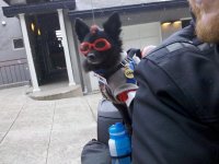 IMG_20120102_145749.jpg