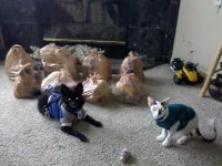 IMG_20120102_151441.jpg