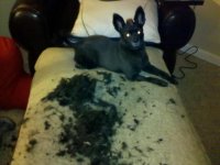 IMG_20120102_212722.jpg