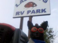 IMG_20120107_150304.jpg