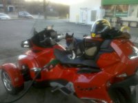 IMG_20120107_082212.jpg