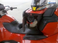 IMG_20120108_134722.jpg