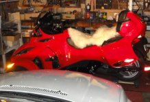 tight fit.jpg