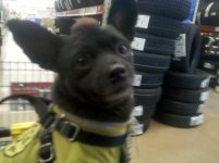 IMG_20120115_173421.jpg