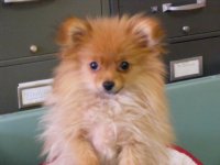 TinkerBell05.jpg