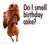 Birthday Cake.jpg