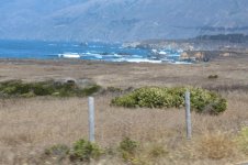 IMG_1637.jpg
