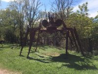 IMG_0776.jpg