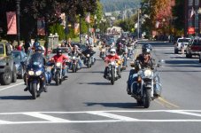 2014FallRun1-L.jpg
