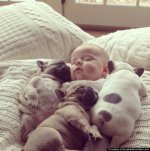 o-BABY-AND-BULL-DOG-570.jpg