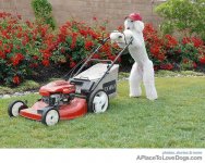 dogmow_zps50e832d2.jpg