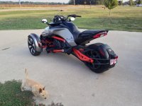 IMG_0892.jpg