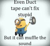 It can muffle the sounds.jpg