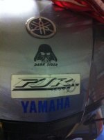 darkside trunk.jpg