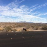 9 15 cc trip9.jpg