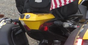 Rear Tip 2.jpg