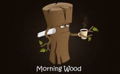 Morning Wood.jpg