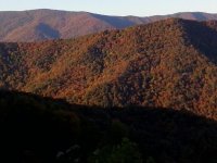 IMG_20151022_174917.jpg