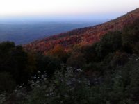 IMG_20151022_185828.jpg