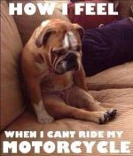 How I Feel....jpg