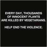 Stop The Murders.jpg