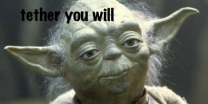 yoda.jpg