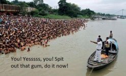 gum.jpg