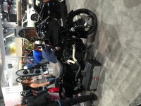 IMG_8515.jpg
