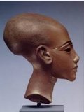 Long Head.jpg