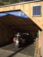 IMG_3146.jpg
