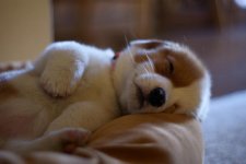 Wake Me Up Later.jpg