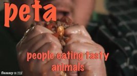 peta.jpg