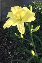 IMG_0167.jpg