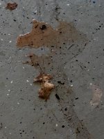 fluid on floor.jpg