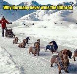 German Team in the Iditerad.jpg