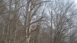 20151220_135704.jpg 20151220_135704.jpg