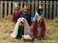 christmas dog nativity fleas navidog.jpg