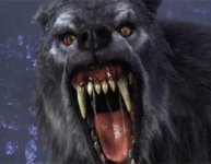 Big Bad Wolf.jpg