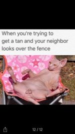 ImageUploadedByTapatalk1451700737.932326.jpg