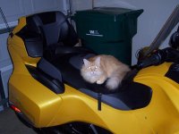 100_1207.jpg