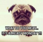 136941-What-Do-You-Mean-Its-Already-Monday.jpg