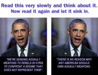 Guns.jpg