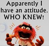 attitude.jpg
